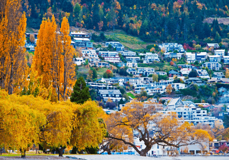nz nz